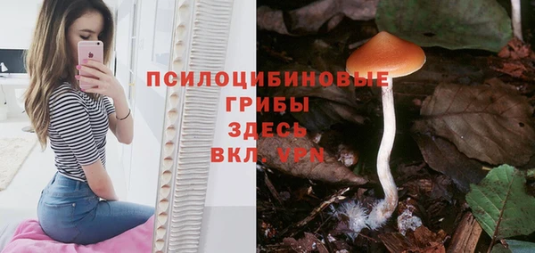 не бодяженный Белокуриха